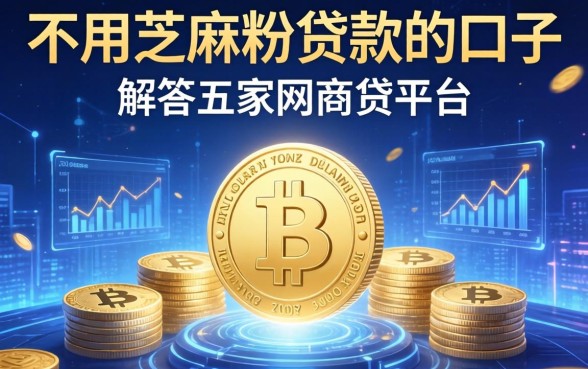 不用芝麻粉贷款的口子，解答五家网商贷平台