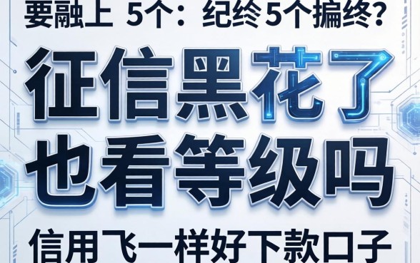 征信黑花了也看等级吗，归纳5个和信用飞一样好下款的口子