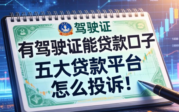 有驾驶证能贷款的口子，五大贷款平台怎么投诉