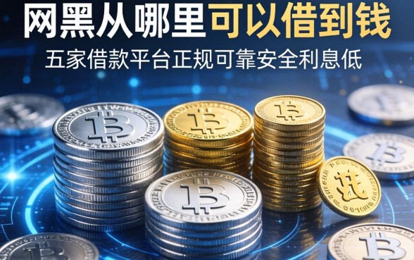 网黑从哪里可以借到钱，解答五家借款平台正规可靠安全利息低