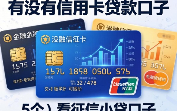 有没有信用卡贷款口子，整合5个不看征信小贷口子