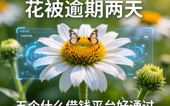 花被逾期两天有影响吗，总结五个什么借钱平台好通过