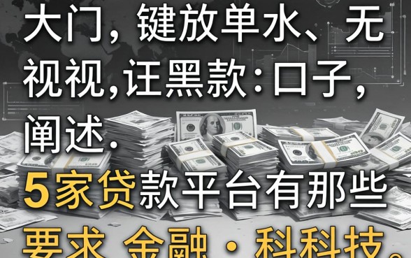 大量放水无视黑白口子，阐述5家贷款平台有那些