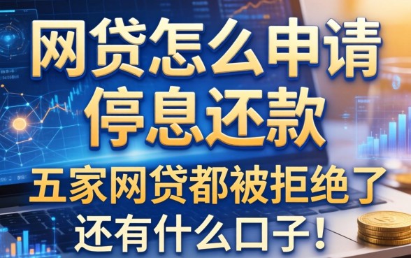 网贷怎么申请停息还款，解答五家网贷都被拒绝了还有什么口子