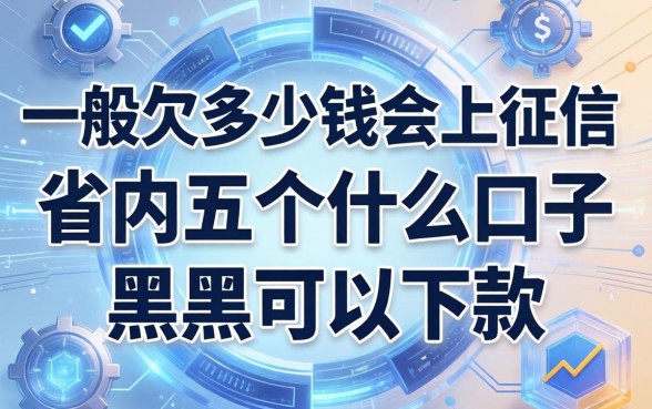 一般欠多少钱会上征信，省内五个什么口子黑户可以下款