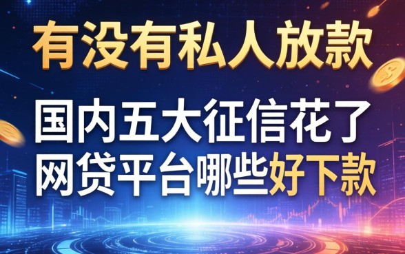 有没有私人放款的电话，国内五大征信花了网贷平台哪些好下款
