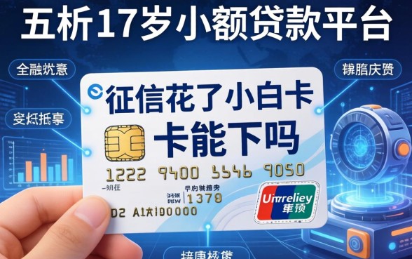 征信花了小白卡能下吗，分析五个17岁小额贷款平台
