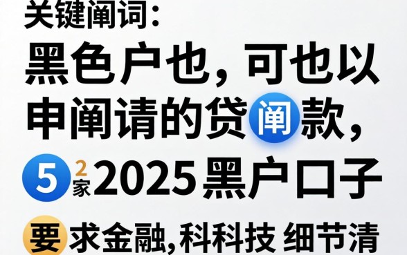 黑户也可以申请的贷款，阐述5家2025黑户口子