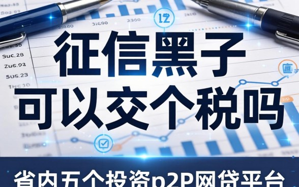 征信黑了可以交个税吗，省内五个投资p2p网贷平台