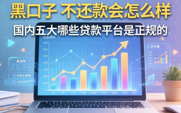 黑口子不还款会怎么样，国内五大哪些贷款平台是正规的