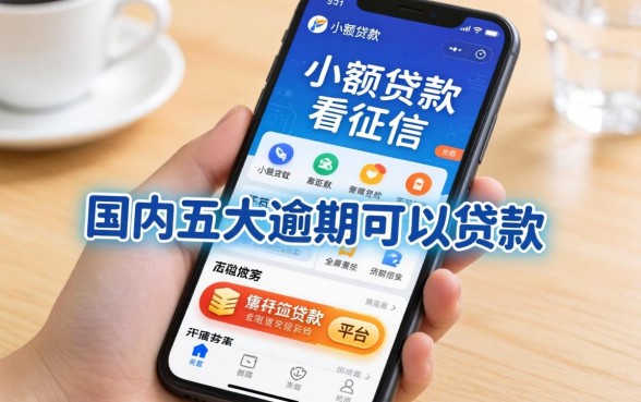 手机小额贷款不看征信，国内五大逾期可以贷款的平台