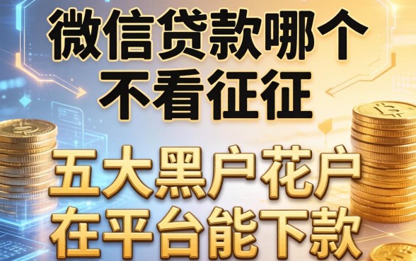 微信贷款哪个不看征信，五大黑户花户在平台能下款