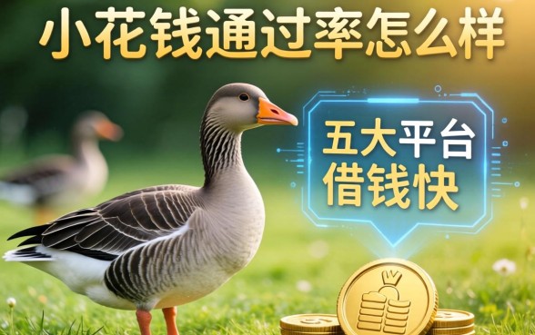 小鹅花钱通过率怎么样，五大平台借钱快