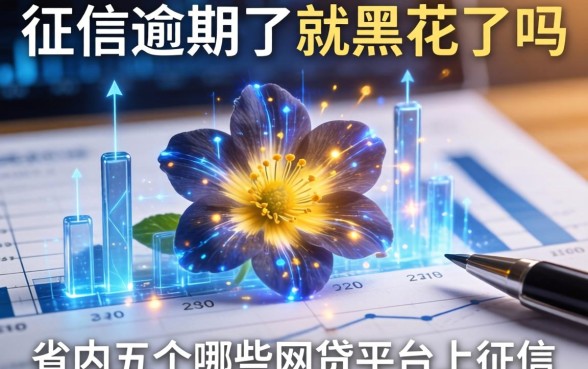征信逾期了就黑花了吗，省内五个哪些网贷平台上征信