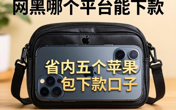 网黑在哪个平台能下款，省内五个苹果手机包下款的口子