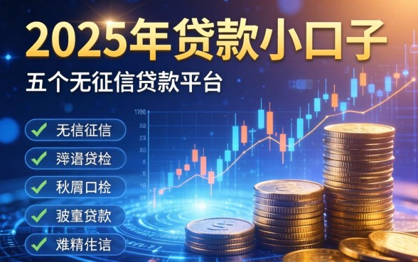 2025年贷款小口子，分析五个无征信贷款平台