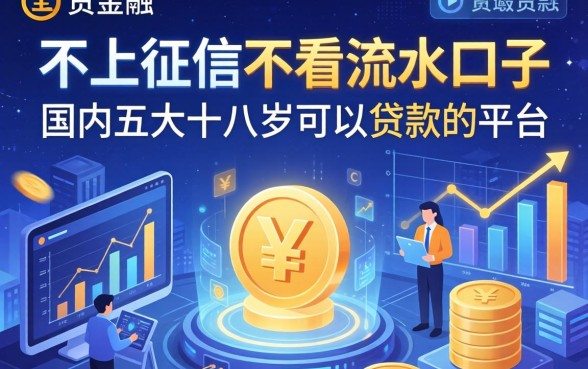 不上征信不看流水口子，国内五大十八岁可以贷款的平台