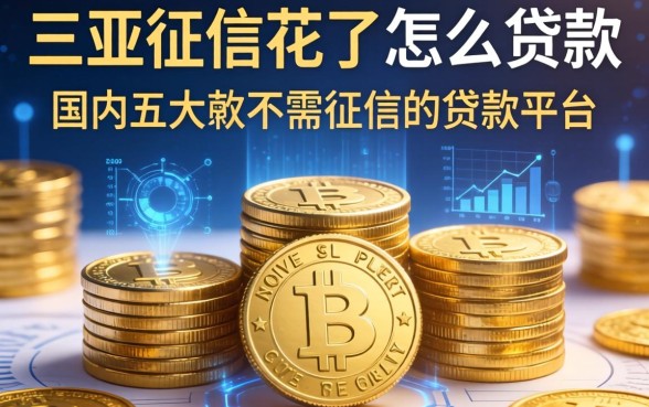 三亚征信花了怎么贷款，国内五大不需征信的贷款平台