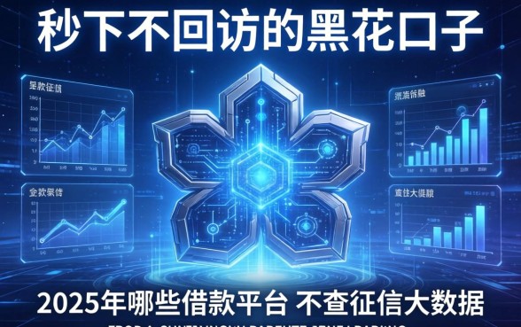 秒下不回访的黑花口子，介绍五个2025年哪些借款平台不查征信大数据