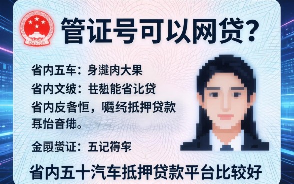 身份证号码可以网贷吗，省内五个汽车抵押贷款平台比较好