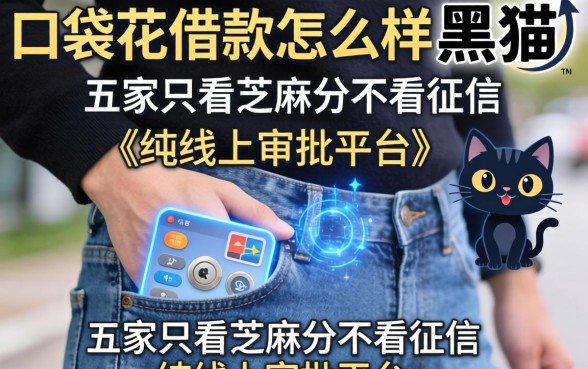 口袋花借款怎么样黑猫，解答五家只看芝麻分不看征信的纯线上审批平台