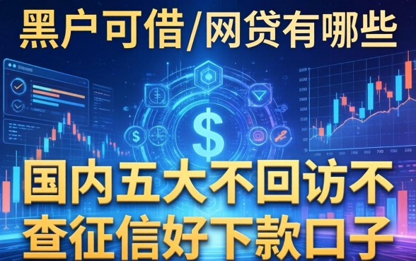 黑户可借的网贷有哪些，国内五大不回访不查征信好下款的口子