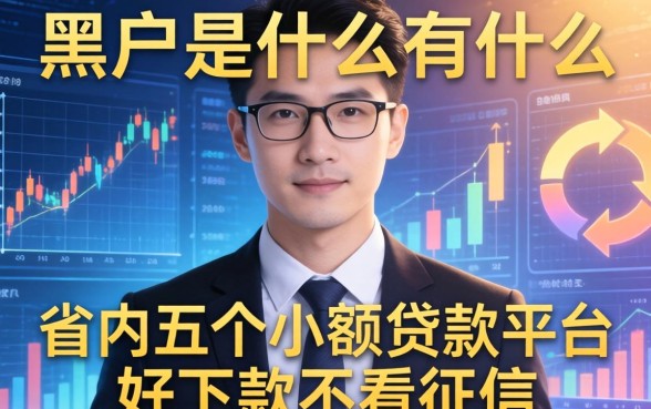 黑户是什么有什么影响，省内五个小额贷款平台好下款不看征信
