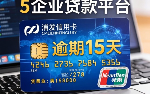 浦发信用卡逾期15天，阐述5家企业贷款平台