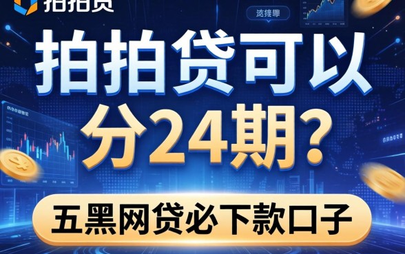 拍拍贷可以分24期吗，推荐五个黑网贷必下款口子