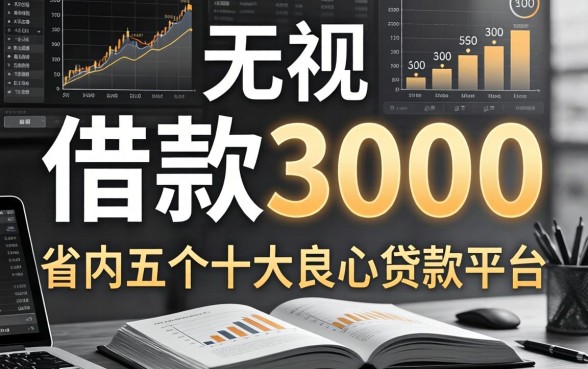 无视黑白借款3000，省内五个十大良心贷款平台