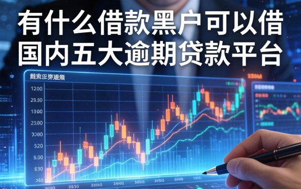 有什么借款黑户可以借，国内五大逾期贷款平台