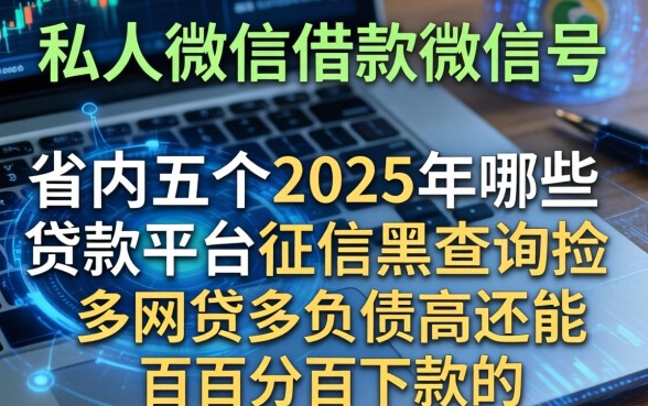 私人微信借款的微信号，省内五个2025年哪些贷款平台征信黑查询多网贷多负债高还能百分百下款的