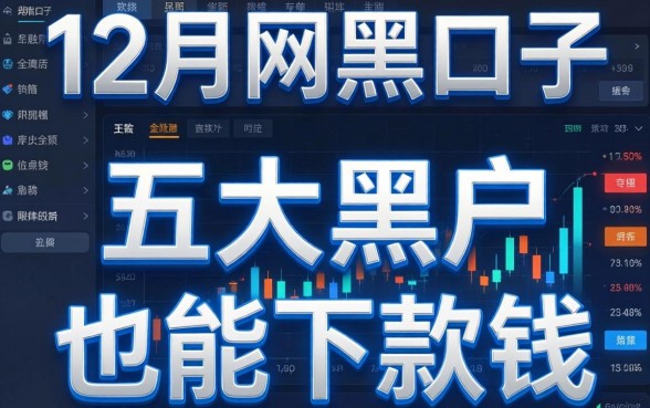 12月网黑口子有哪些，五大黑户也能下款的软件