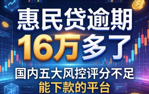 惠民贷逾期16万多了，国内五大风控评分不足能下款的平台