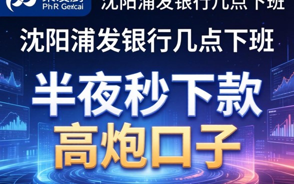 沈阳浦发银行几点下班，总结五个半夜秒下款的高炮口子