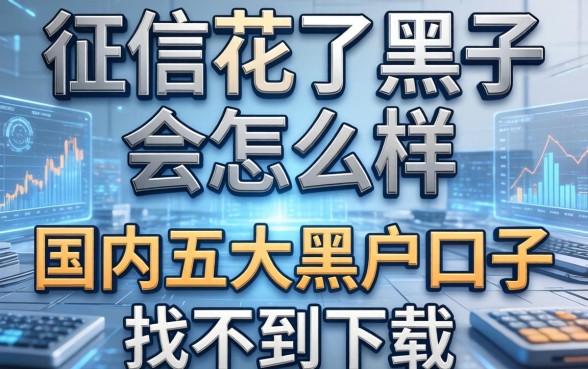 征信花了黑了会怎么样，国内五大黑户口子找不到下载