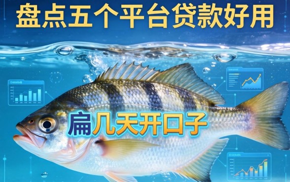 扁鱼放水里几天开口子，盘点五个平台贷款好用