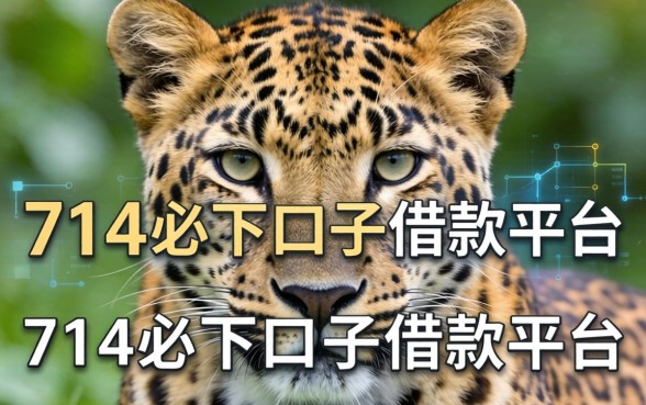 金钱豹是哪个系列口子，整合5个714必下口子借款平台
